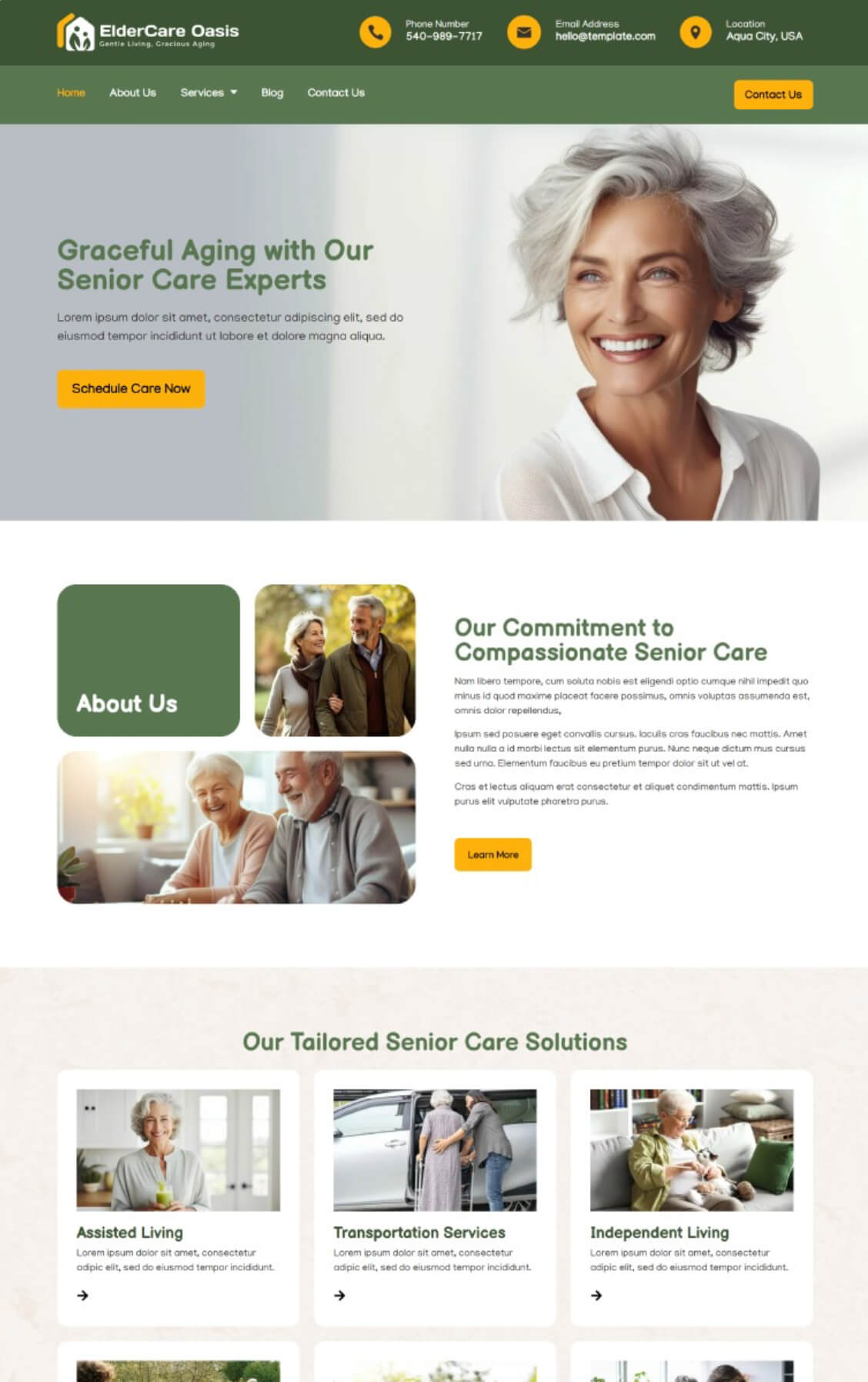 Website design foundation for an elder care provider